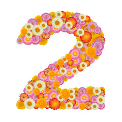 flower number two. Floral element of colorful alphabet made from