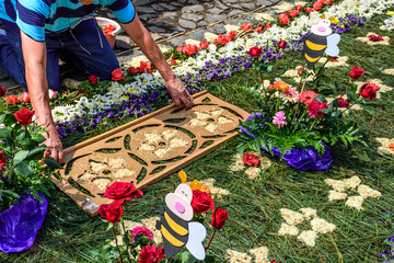 Decorating pine needle Lent carpet for procession, Antigua, Guatemala