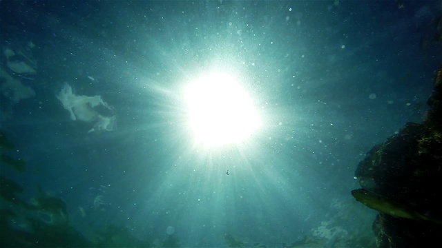 Bright sun throught water Underwater camera shot