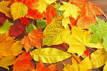 Autumn leaves on the wooden background