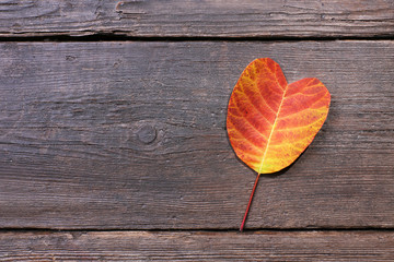 Autumn leaf on wooden textured background