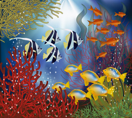 Underwater wallpaper with tropical fish, vector illustration