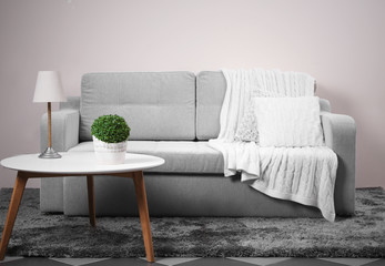 Interior with grey sofa and modern table