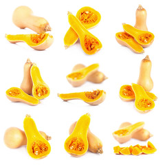 Cross section of a pumpkin