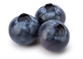 Fresh Blueberry