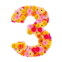 flower numberthree. Floral element of colorful alphabet made fro