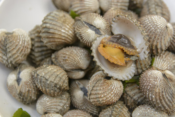 Boil Blood Cockle seafood
