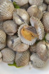 Boil Blood Cockle seafood