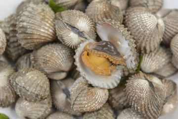 Boil Blood Cockle seafood