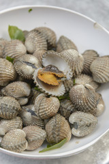 Boil Blood Cockle seafood