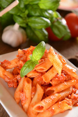 Penne pasta with hot chili sauce arrabiata