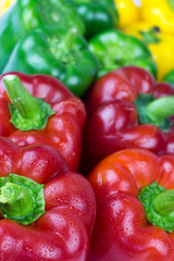 Fresh vegetables Colorful peppers