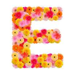 Letter E alphabet with gerbera  isolated on white background