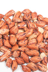 Tiger peanut on white background
