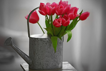 Bouquet of pink tulips in a watering can, close up