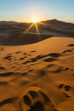Sunrise over sand dune in the desert