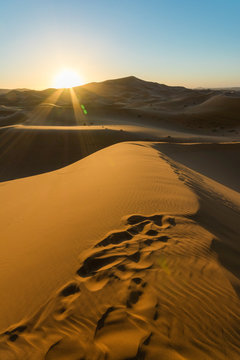 Sunrise over sand dune in the desert