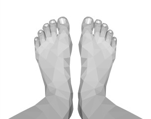 polygonal legs feet top view black and white monochrome on white