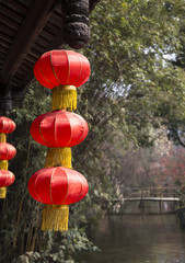 spring landscape in a park,chengdu,china