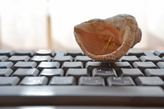 Keyboard with shell