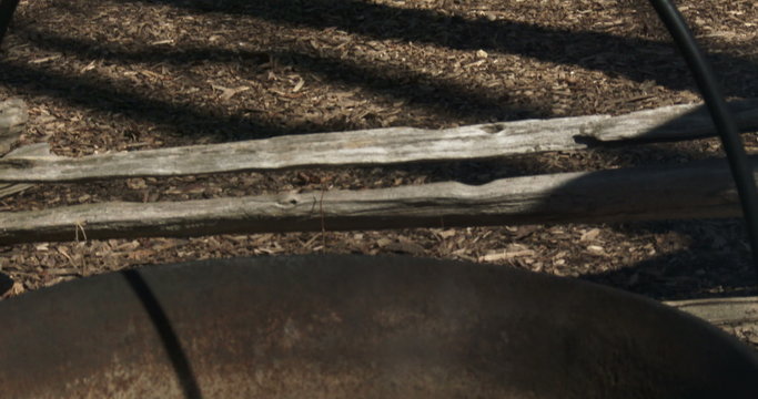Sap boiling in old metal pots to produce maple syrup during harvest season in Canada
