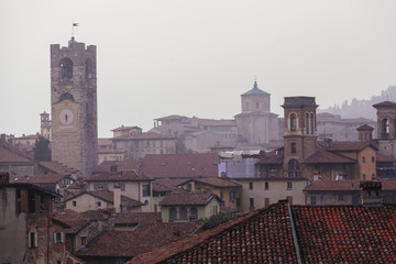 Fototapeta premium Bergamo bell tower and house roofs