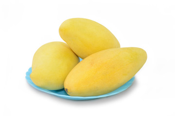Golden sweet Mangoes in Thailand
