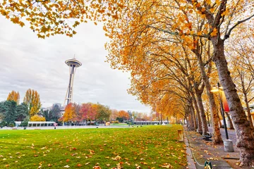 Fototapeten Landschaft des Seattle-Zentrums in der Nähe der Weltraumnadel © zhu difeng