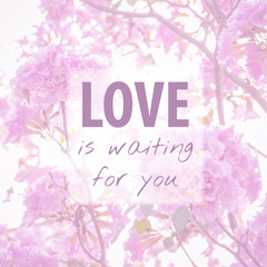 Quote about love on flower background.Love is waiting for you.