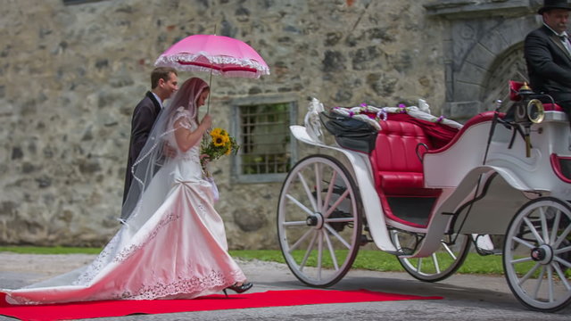 Young married couple is approaching a carriage