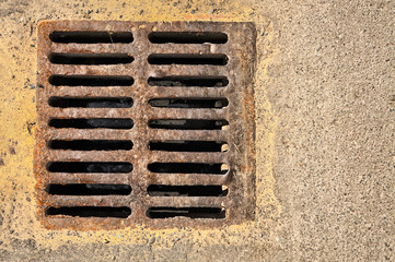 sewer grill