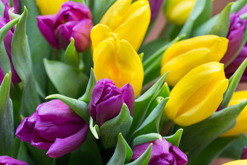 Purple and yellow tulip bouquet. More tulip on the grey backgrou