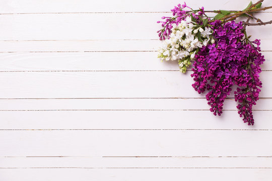 White and violet lilac flowers on white painted wooden planks.