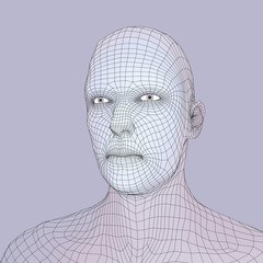Head of the Person from a 3d Grid. Human Head Wire Model. Human Polygon Head. Face Scanning. View of Human Head. 3D Geometric Face Design. 3d Polygonal Covering Skin. Geometry Polygon Man Portrait.