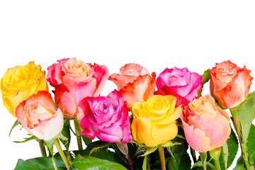 beautiful bouquet colorful rose flowers with dew is isolated on