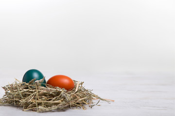 Oster - Nest - Arrangement