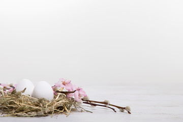 Obraz premium Oster - Nest - Arrangement