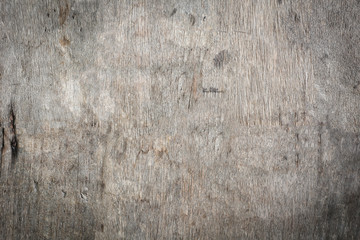 Obraz premium Gray wood background