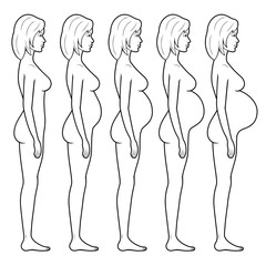 Illustration of a pregnant woman's figure