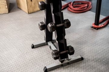 Fototapeta premium Dumbbell rack