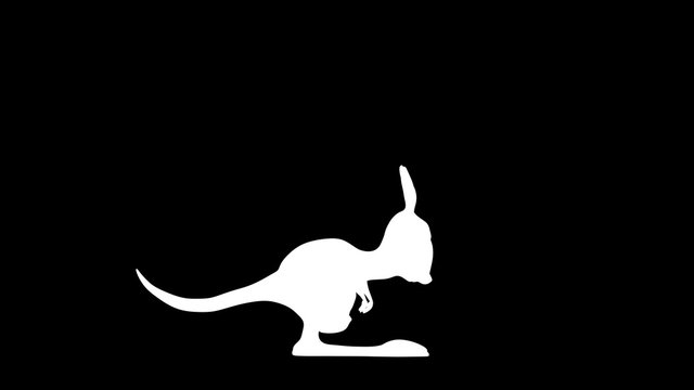 Kangaroo 4K