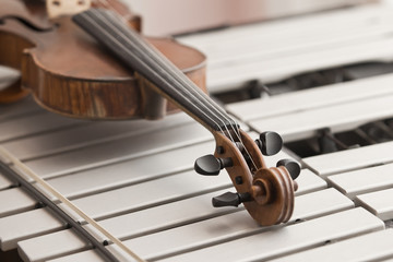 Detail closeup of a violin