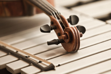 Detail closeup of a violin