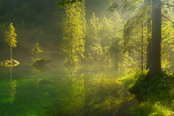 Fototapeta na wymiar Small Forest Lake