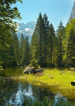 Small Lake in Gosau Valley, Austria