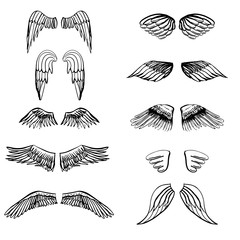 Wings illustration silhouettes set for making your own logo, badge, label design.