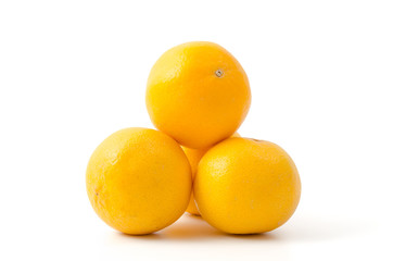 Süße Zitronen (Citrus limetta)