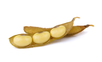 soy bean
