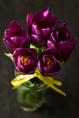 Close up tulips with candies
