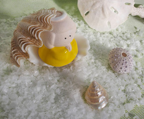 Cute angel figurine in the seashell over sea salt